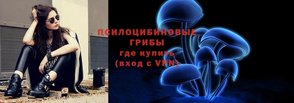 МДПВ Абаза