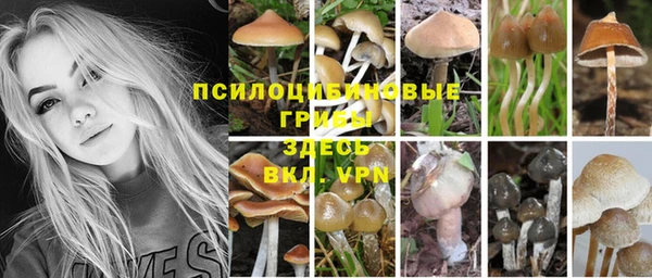 каннабис Алексин