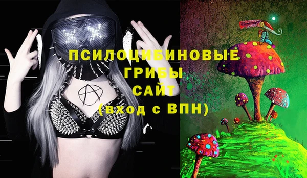прущая мука Алзамай